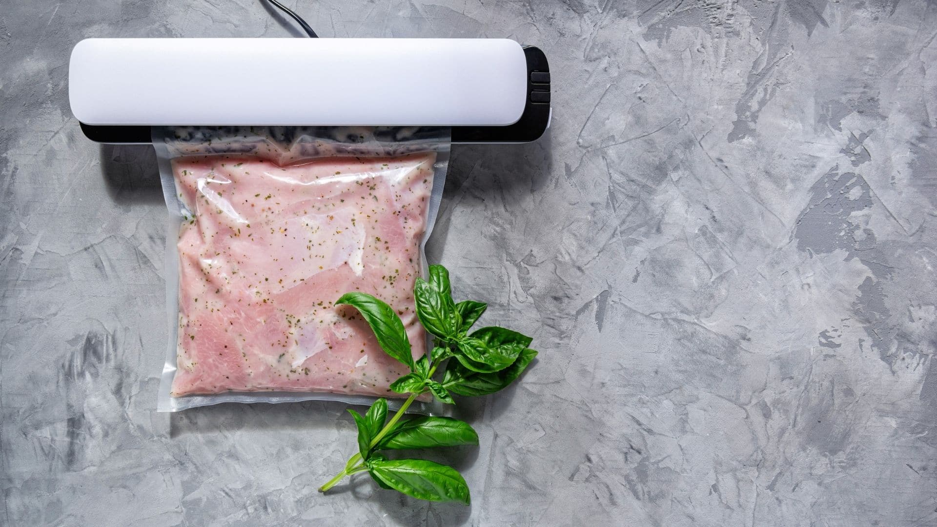 The 10 Best Vacuum Sealers for Food of 2021