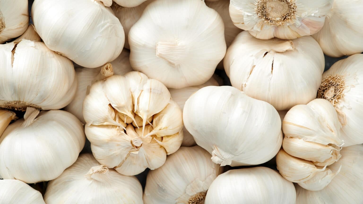 Types of Garlic Grinders