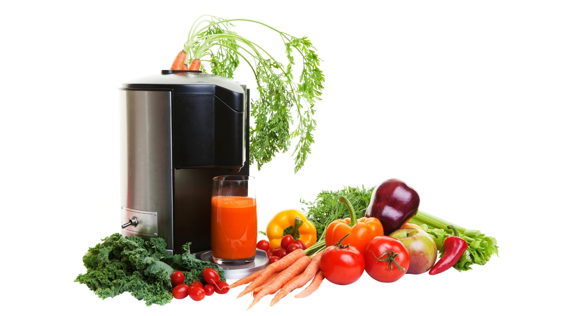 The 10 Best Masticating Juicers