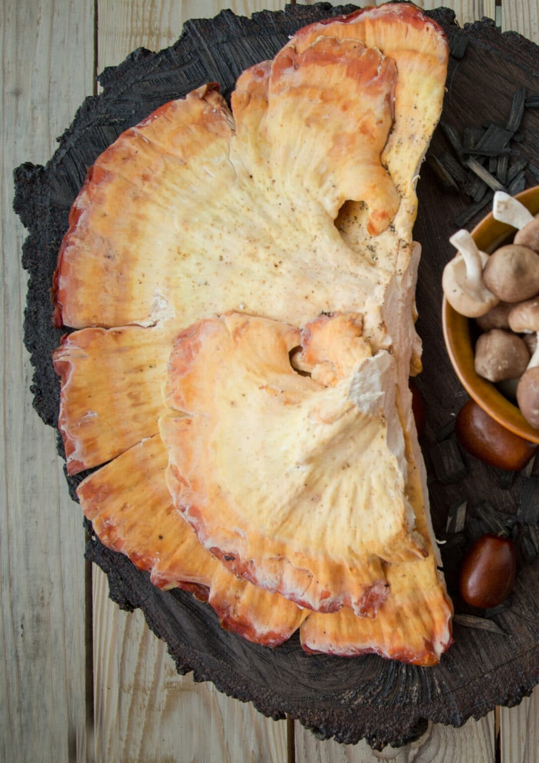 Chicken of The Woods recipe