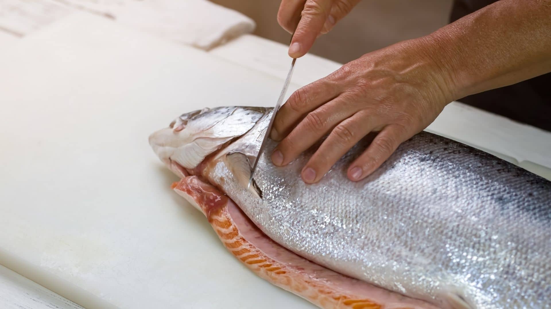 Choosing The Perfect Knife To Clean And Cut Fish