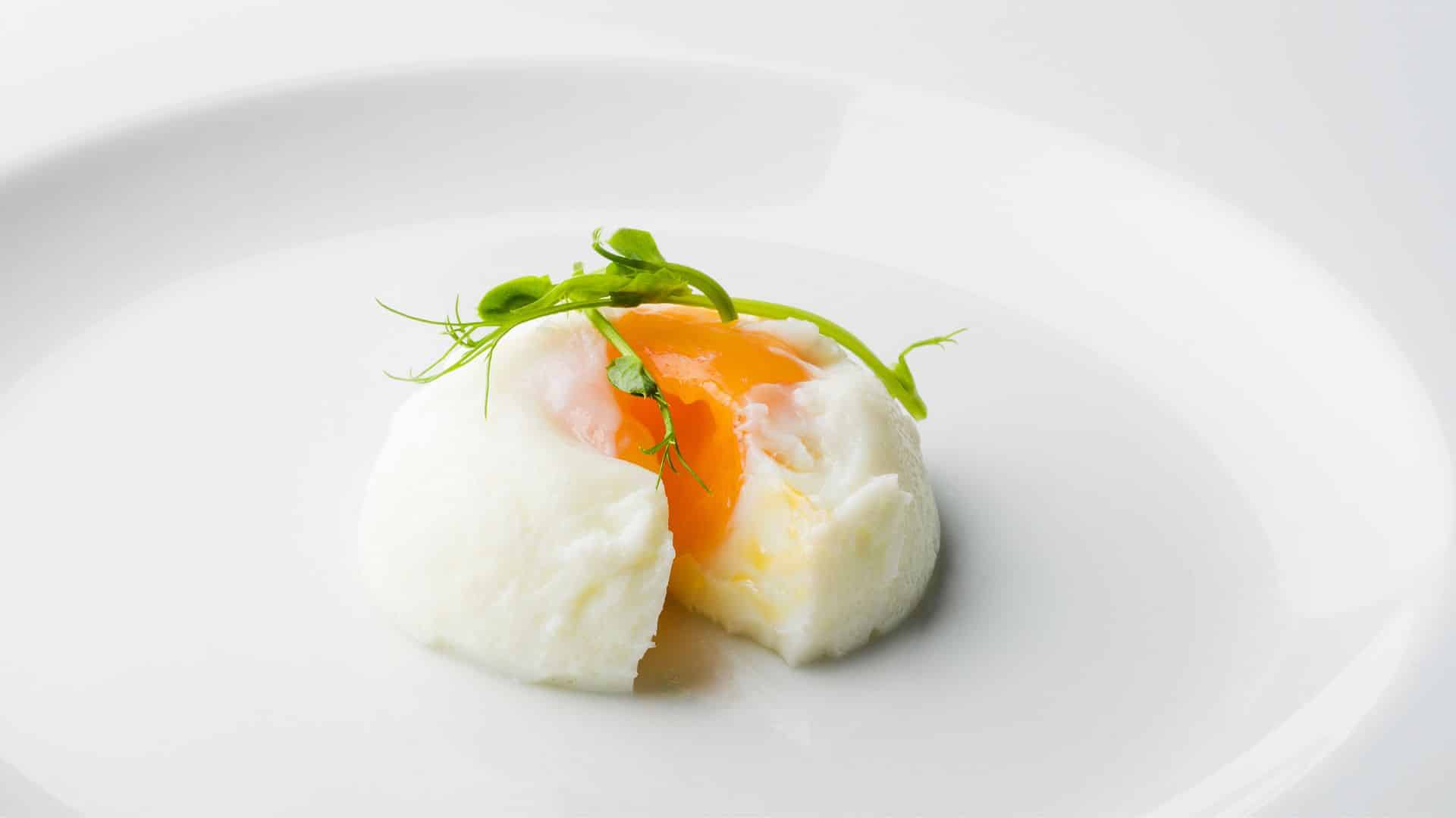 Egg Poacher The Easiest Way to Make Perfect Eggs Every Day